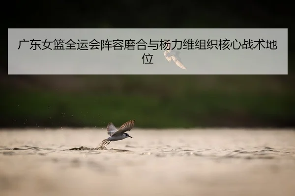 广东女篮全运会阵容磨合与杨力维组织核心战术地位