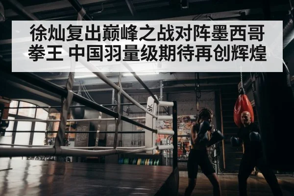 boxer training